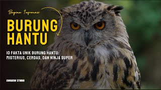10 Fakta Unik Burung Hantu: Misterius, Cerdas, dan Ninja Super
