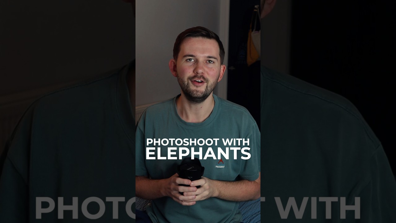 Elephant Photoshoot in Thailand 🐘 