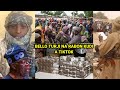 Bello Turji Na Rabon Kudi A Tik Tok Bayan Zanga Zangar Da Yan Nigeria Sukai Dan Bindiga Bello Turji 