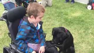 Dave And Falen Visit Tina, Isaiah And Their New Companion Dog Leo