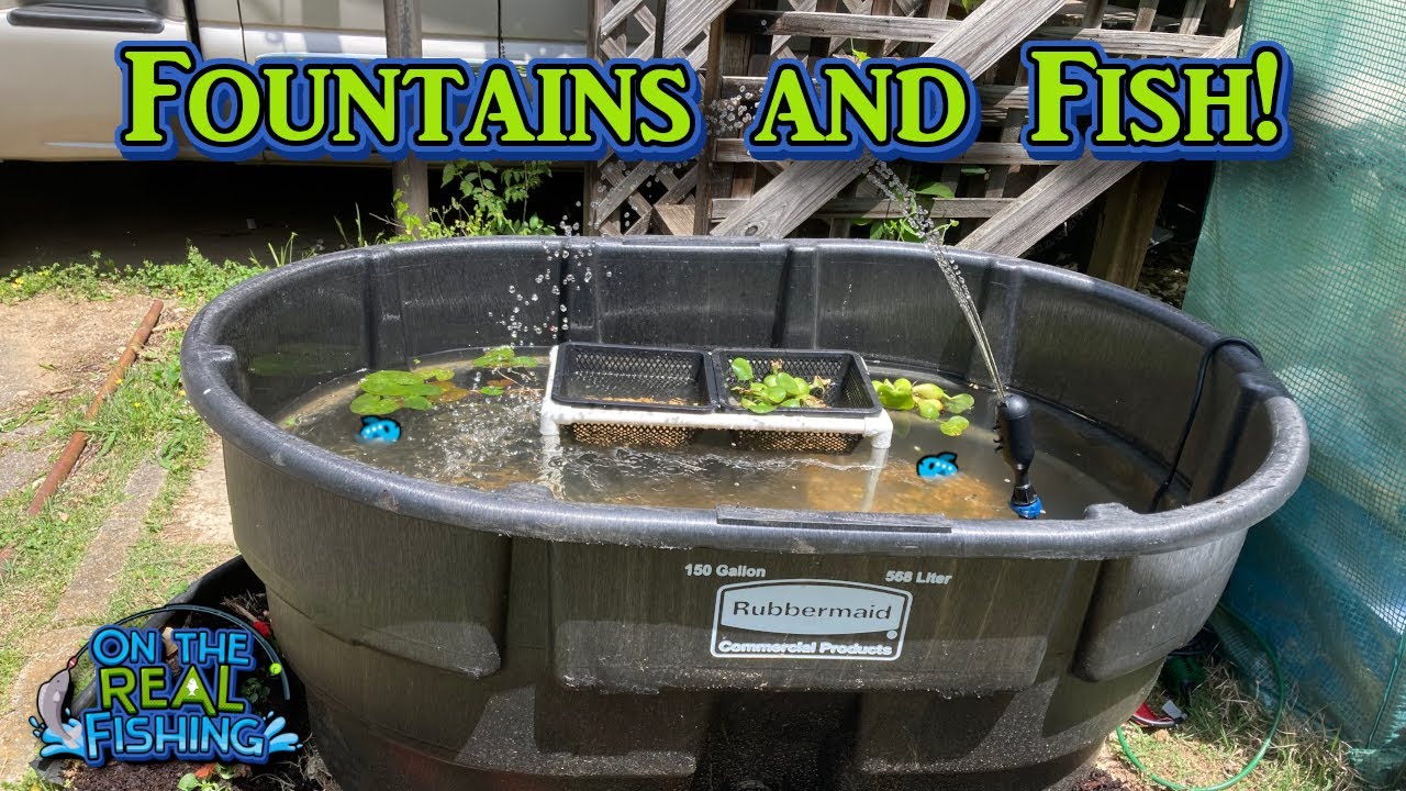 Pond Build Phase 2 Backyard Miniature Stock Tank Fishing Pond YouTube