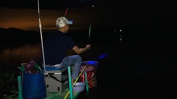 CÂU CÁ RÔ PHI ĐÊM ĐẬP SÔNG RAY I Câu Cá Tự Nhiên