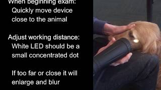 ClearView™ 2 Optical Imaging System w/ iPod (J1544) - Imaging Tips
