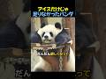 アイスだけじゃ足りなかったパンダ🐼#感動する話 #動物動画 #動物