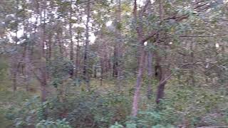 26 Bamberry Street Russell Island QLD 4184