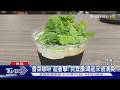咖啡展喝到飽! 加香菜PK檳榔.西瓜特調｜TVBS新聞 @TVBSNEWS01
