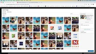 SNO Infobox Webinar