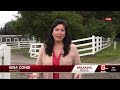 8 horses die in fire that destroyed barn in Walpole