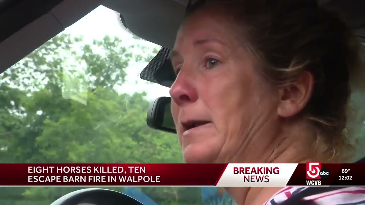 8 horses die in fire that destroyed barn in Walpole