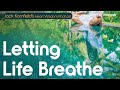 Jack kornfield on letting life breathe  heart wisdom ep 225