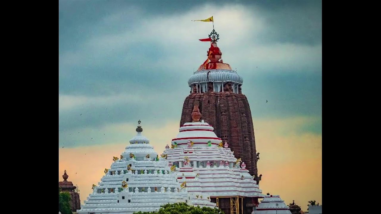 WEB DEPARTMENT Live Stream