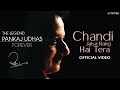 Pankaj Udhas - Chandi Jaisa Rang Hai Tera (Vertical Video) | Best Of Pankaj Udhas | Hindi Song