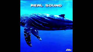 GAME SOUND ☠️ GO 210 SUB ❤️
