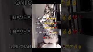 Download Lagu oni chan i have a dih but it's a remix #meme #memesvideo #memes #funny #funnyvideo MP3