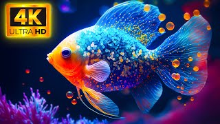 Dive Into Stunning 4K Ultra HD - Colors of the Ocean & Soothing Sea Animals
