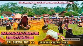 9 BARONGAN SPEKTAKULER KESURUPAN BARENG EBEG TRI AUKMA JATI VS TURONGGO LESTARI MUDO#ebeg