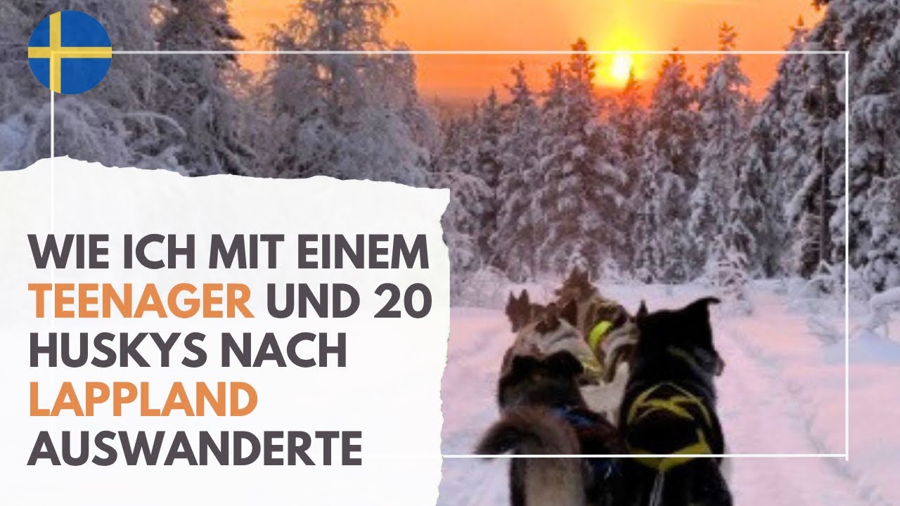 Wie ich mit einem Teenager und 20 Huskys nach Lappland auswanderte