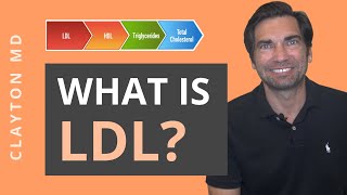 What is LDL? Your Cholesterol Test Results Explained by Dave Clayton, MD 611 views 3 years ago 8 minutes, 27 seconds
