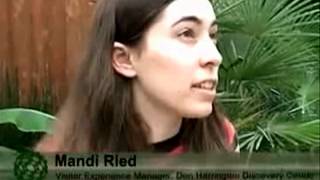 Nise Net Vignettes Mandi Ried-Nanodays Community Experience