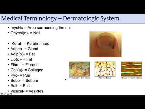 Medical Terminology | Lesson 10 | Skin and Skin Conditions (Dermatology)