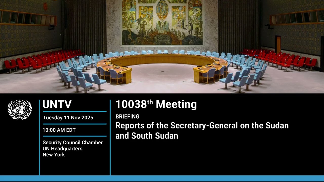 United Nations security council meeting on Sudan and south Sudan 