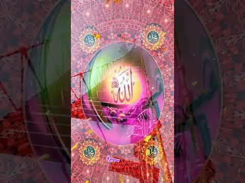 القارئ عبد العزيز شوكري 