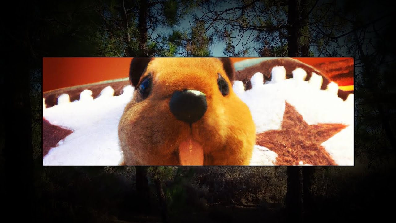 Walsh Family (mis)Adventures (16sec)