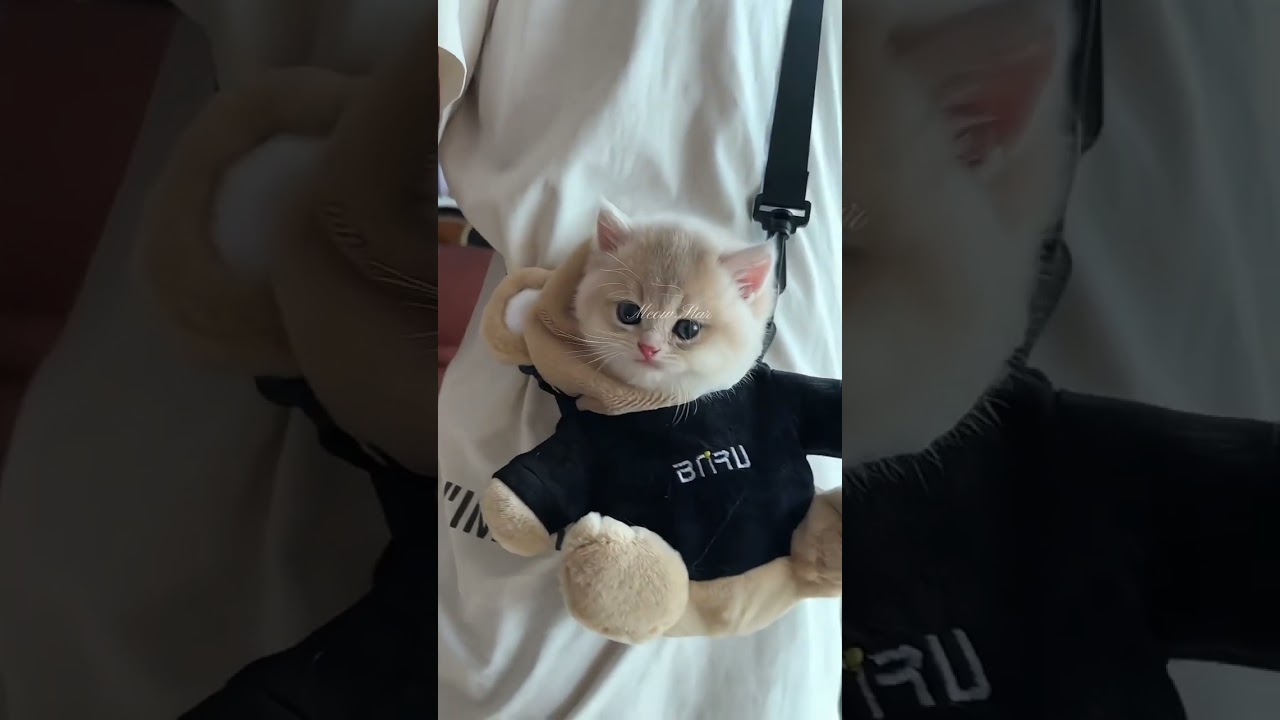 OMG So Cute! Melted! ❤️