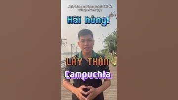 Thông tin chị Như quỳ lại khi con ở Campuchia | Phong Bụi #shorts