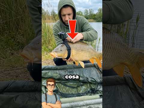 Che SUCCEDE SE METTI UNA TELECAMERA su un PESCE?😱 #virale