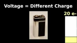 Easy Ohm's Law Tutorial: Neuroscience and Cardiac Physiology physics application
