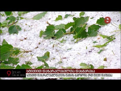 საოკუპაციო ხაზისპირა სოფლებში მცხოვრები, სეტყვის შედეგად დაზარალებული ოჯახები დახმარებას მიიღებენ