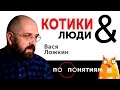 Котики & Люди, Культура & Запреты "ПО ПОНЯТИЯМ" Вася Ложкин