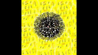 Sea Urchin - Kidz Learn Applications™