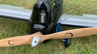 GipsyMoth   Seagull CMCP