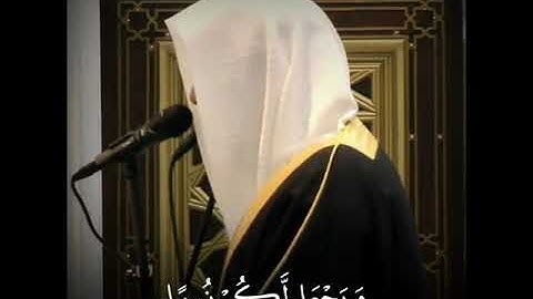 "حالات واتس اب ــ للشيخ ناصر القطامي ـــ تلاوه هادئ وعذبه"