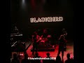 Blackbird (merel koman) blackbird music ask your mother #shorts 2