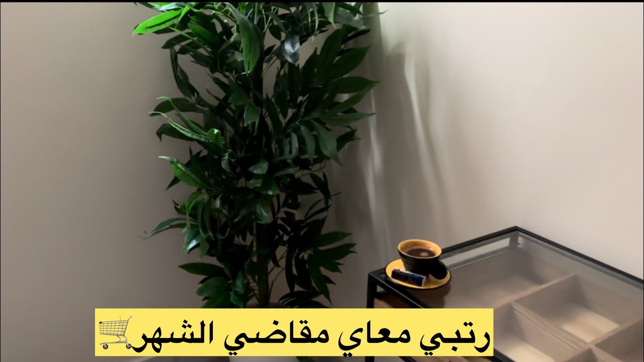 مقاضي الشهر 🛒 فلست زوجي😅