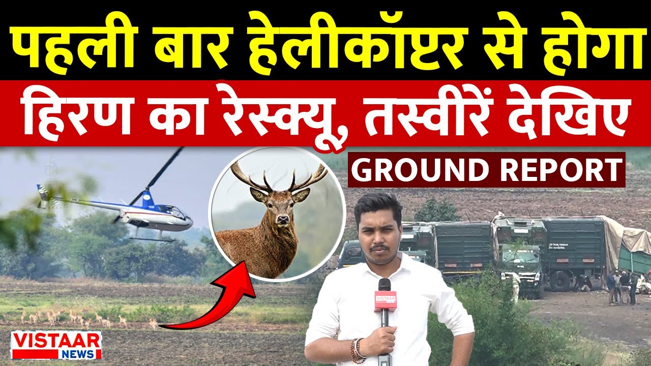 Shajapur News: पहली बार Helicopter से होगा हिरण का Rescue, तस्वीरे देखिए | Ground Report | MP
