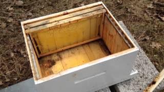 Honeybee winter autopsy
Two of my Langstroth beehives died last winter and so I visit the beeyard to do an autopsy on these hives.
The first hive seems to have died from starvation after a really late cold snap. The second hive had tons of honey left. I think they were just too small and weak going into the winter.
http://bees.chrisinch.com
https://twitter.com/beekeepingon
https://www.facebook.com/beekeepinginontario Honeybee winter autopsy