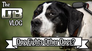 Why Does My Dog Fight with Other Dogs? Ep: 231 by DogBoneHunter 416 views 2 months ago 8 minutes, 58 seconds