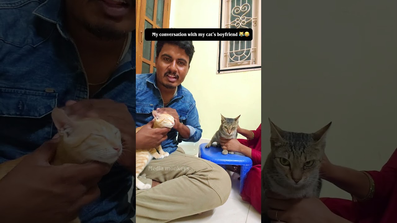 En poonai oda boyfriend kitta naan 😂||Media monkeys #comedyshorts #comedy #funny #cat #trending