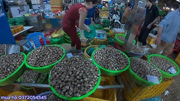 tôm đất vô nước ốc hương rẻ hơn trước rất nhiều