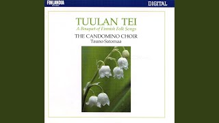 Tuuli hiljaa henkäilee [The Wind Is Softy Blowing] Tuuli