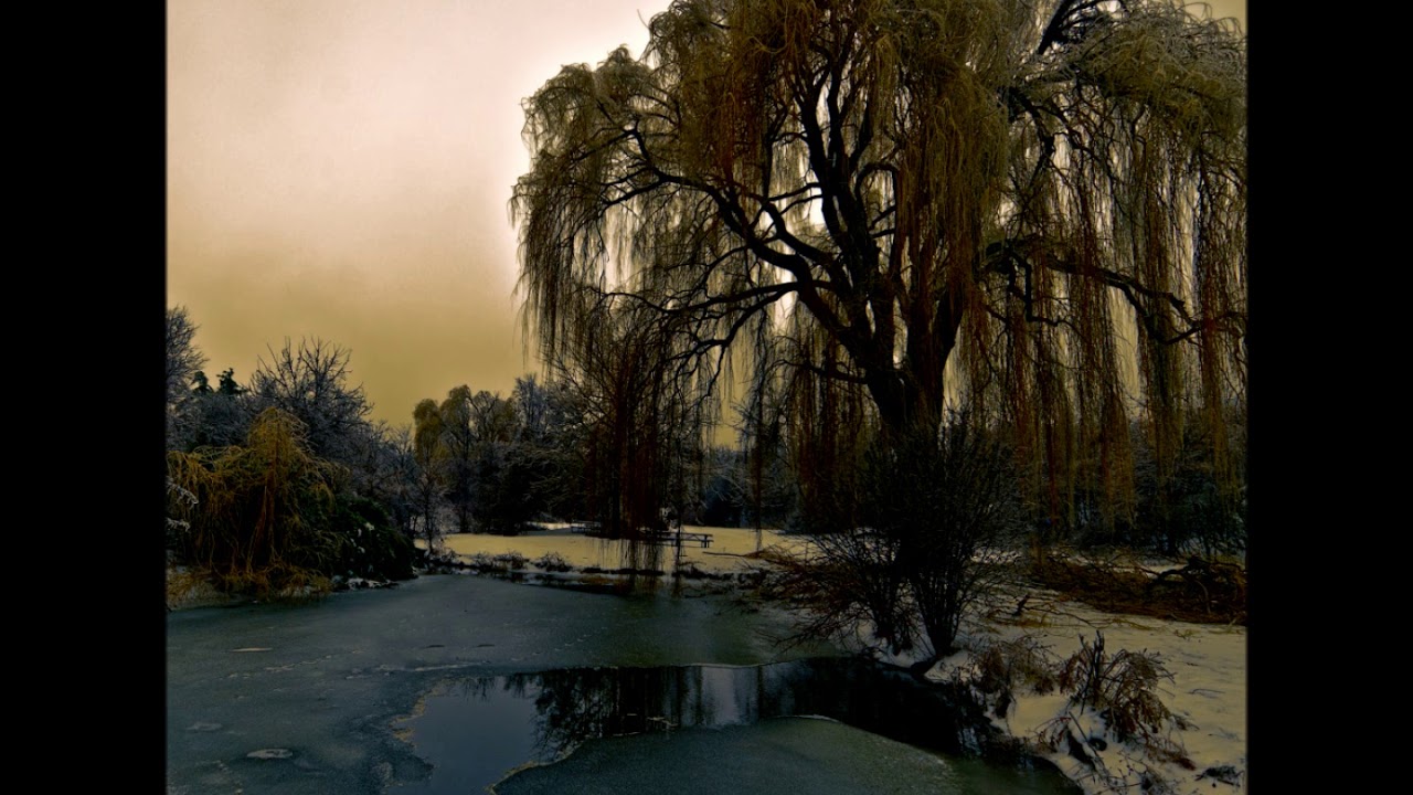 Buchla & Euororack Soundscape - Adoxography