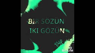Bir Sözün Iki Közün
