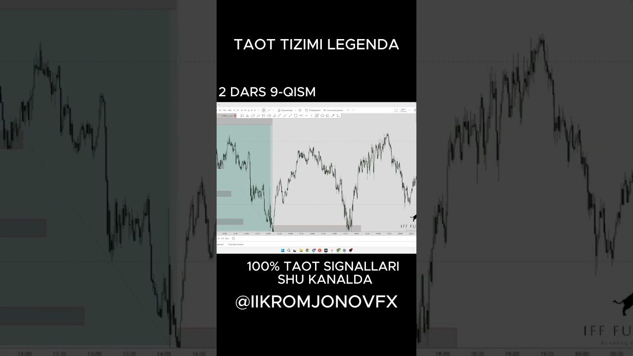 taot zona dartslilari shorts 