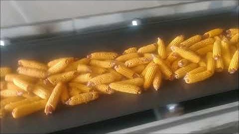 Seed Corn Husk/Sort/Dry/Shell Facility