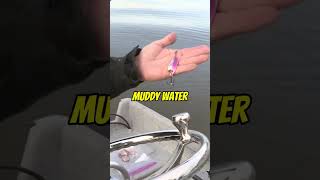 Spooning Techniques - The Little Cleo - ACME Tackle Co.