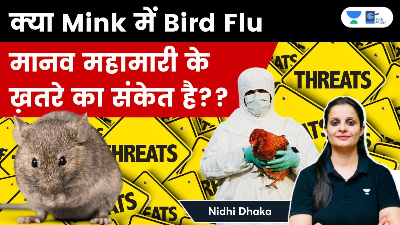 Scientists concerned spread of bird flu to mink signals growing threat ...